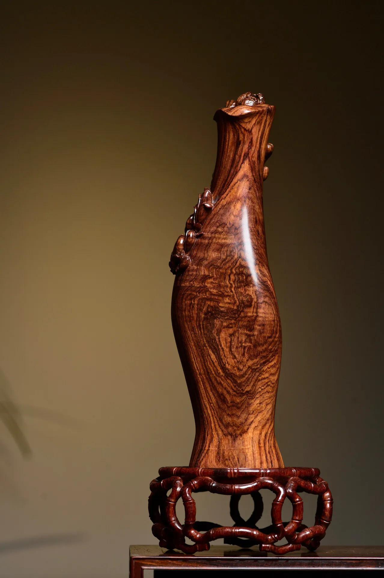 金玉满堂之满汉全席,金玉满堂花怎么养