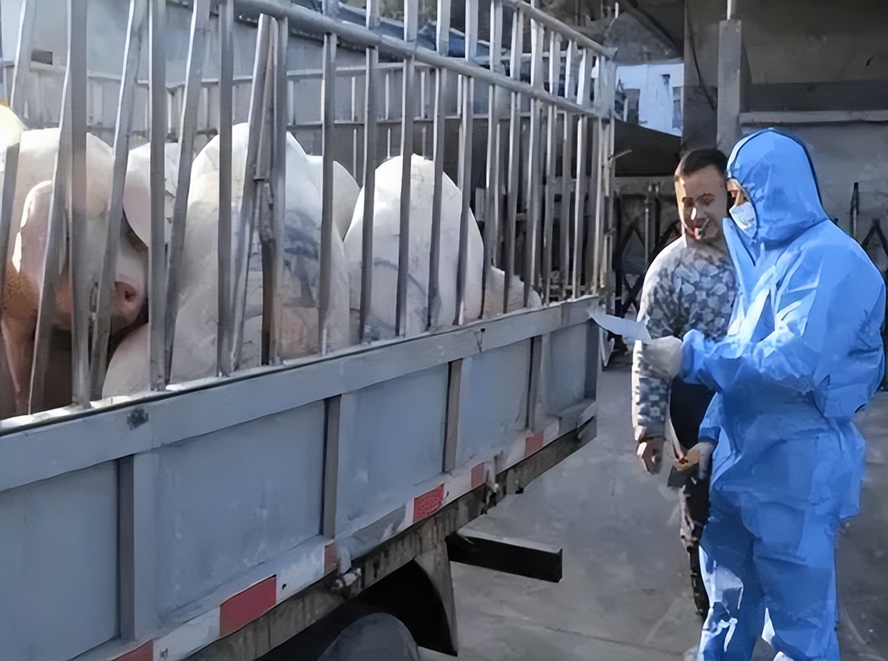 事业编“喜出望外”，这8个岗位有望转成公务员，看下谁在其中？