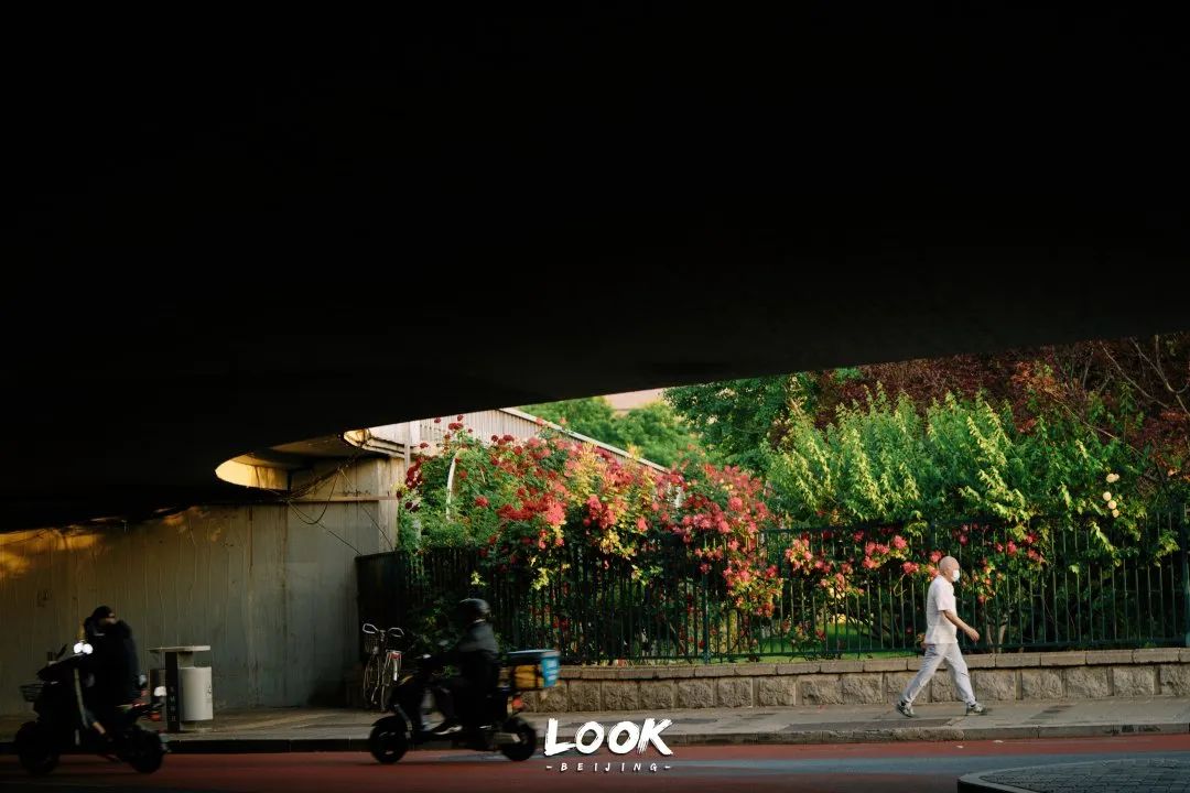 北京居庸关花海栈道,北京四季花海景区