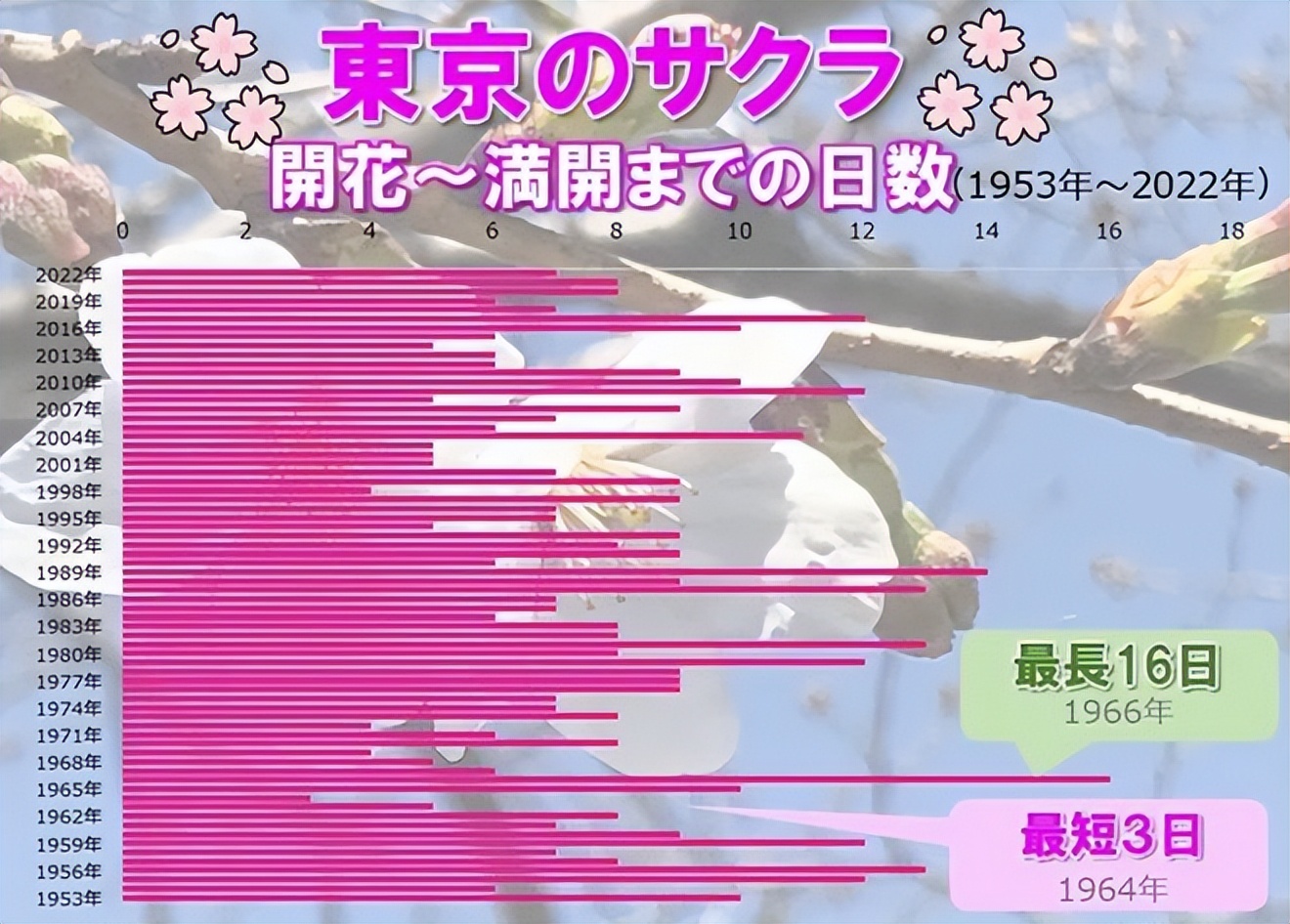 2023日本樱花观赏时间表,日本樱花什么时候观赏最好
