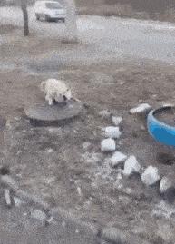 神回复最恶搞的话,被人骂不知羞耻的神回复