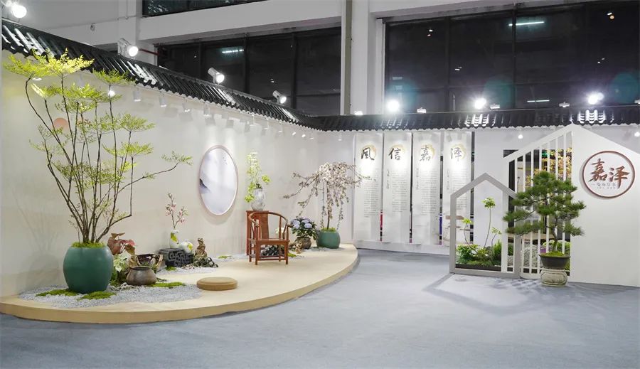 镇店之宝被抢购，“亚洲最美花展”上盆栽“吸睛”又“吸金”