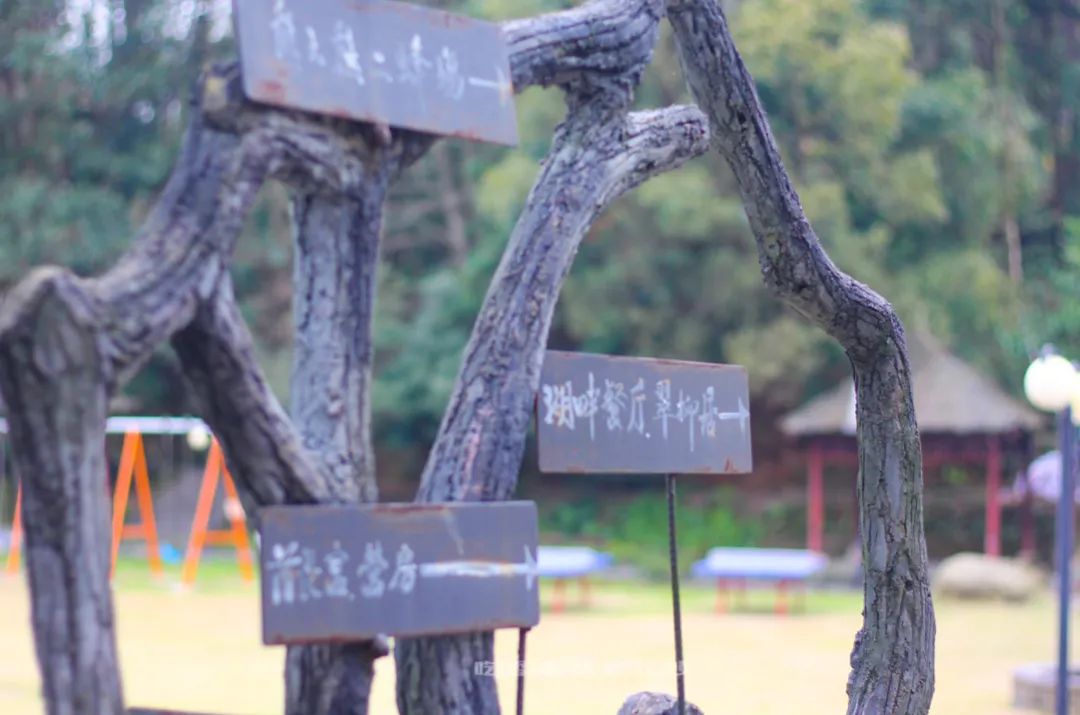 长沙攻略避开人群,收藏长沙