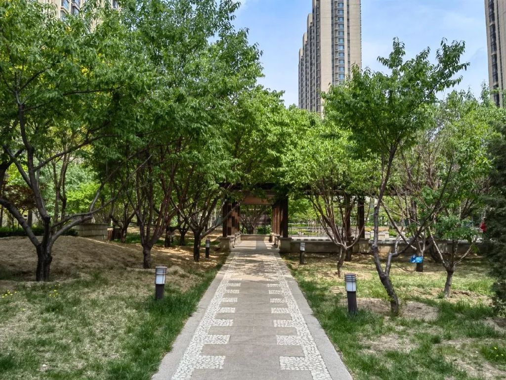 谁是影像机皇,谁才是手机机皇