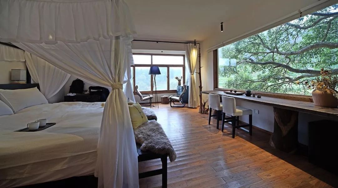 黄山五一推荐民宿,五一黄山民宿推荐