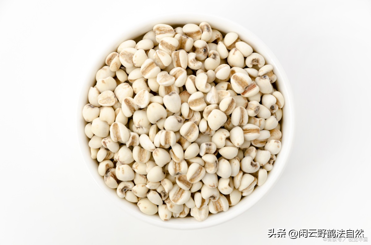 薏仁药食同源辅助降血糖好食材特膳食品前景广