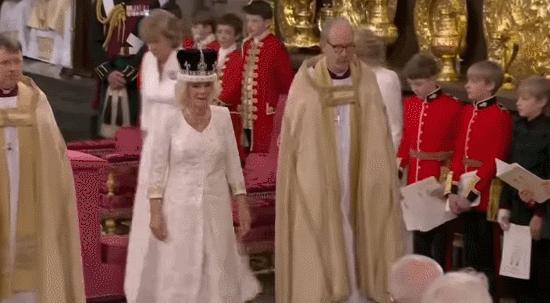 卡米拉出尽风头,卡米拉靠什么被女王认可