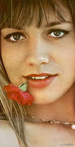 香港黄金时代经典电影粤语版,香港电影抄袭好莱坞