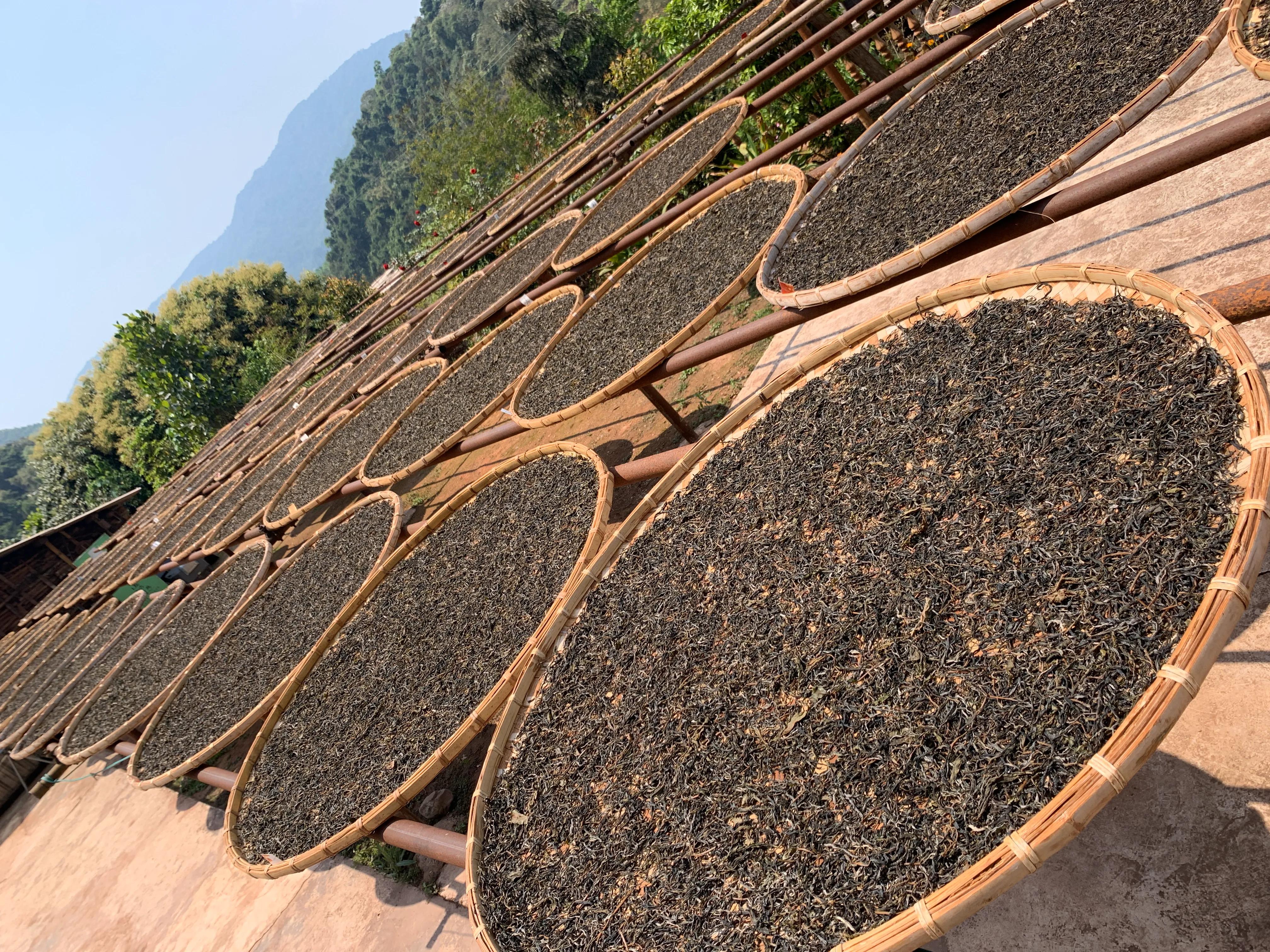 易武茶特点苦涩轻甜,普洱茶易武茶的特点