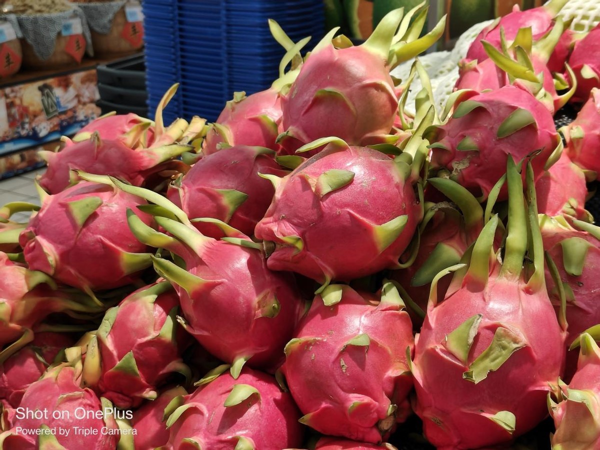 一加ace2对比iphone14promax,一加ace2pro和苹果14promax拍照