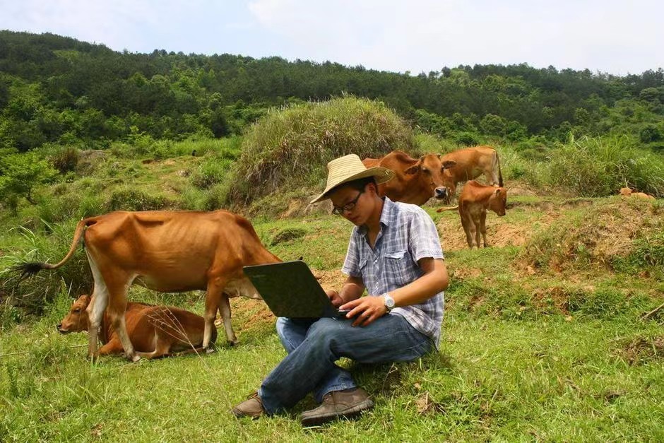 牛价已跌到谷底了吗,牛价格跌破成本线时间