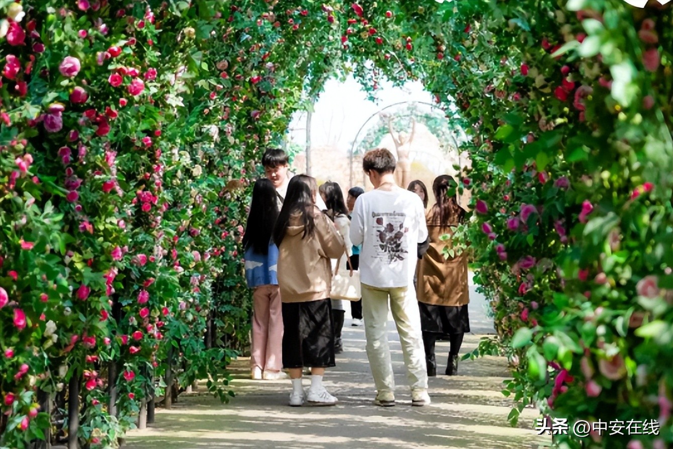 合肥发布63项文化旅游活动,五一合肥十大景区出炉