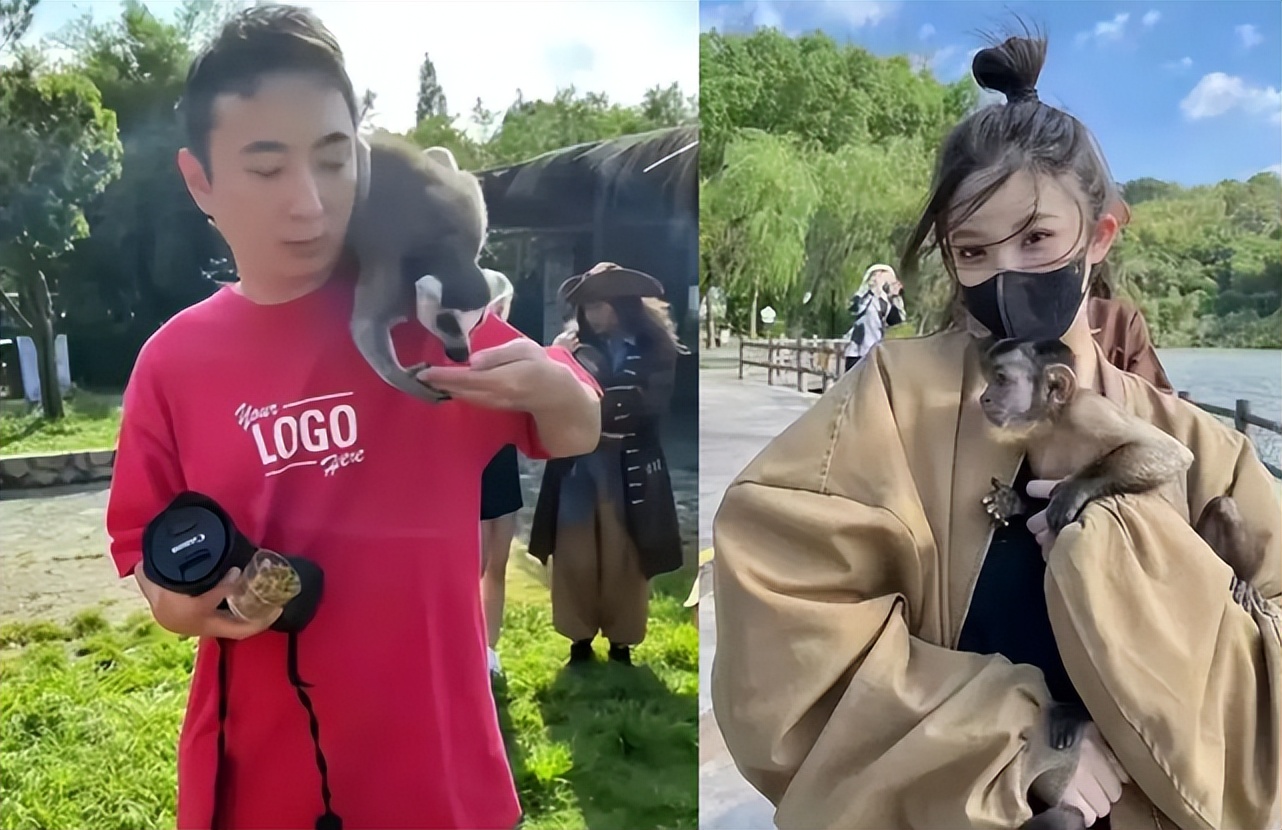 王思聪逛夜店视频,王思聪和朋友去夜店玩耍