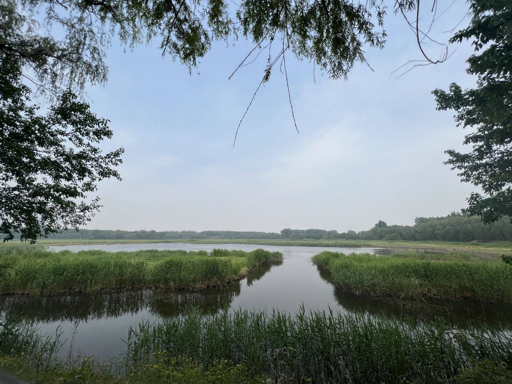 生态环境科普课堂,生态环境科普进校园