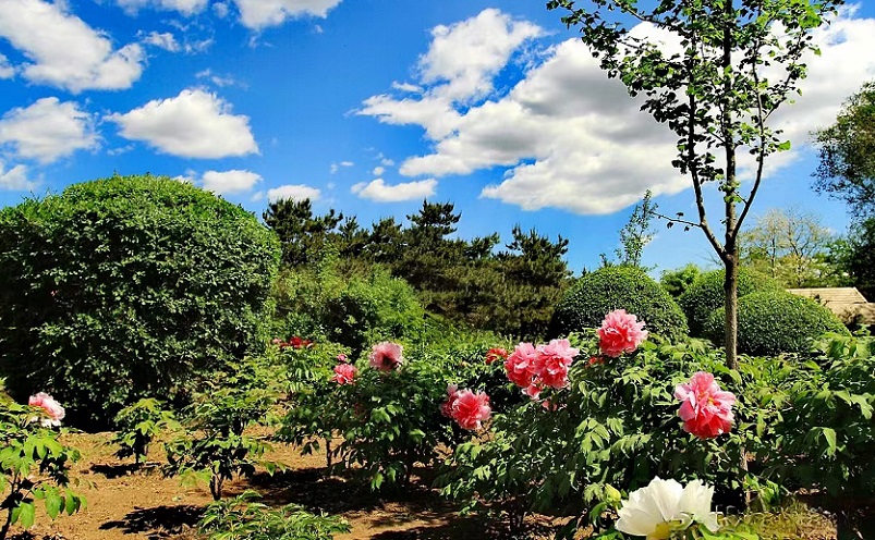 沈阳旅游必去十大景点目录,沈阳旅游攻略必去十大景点