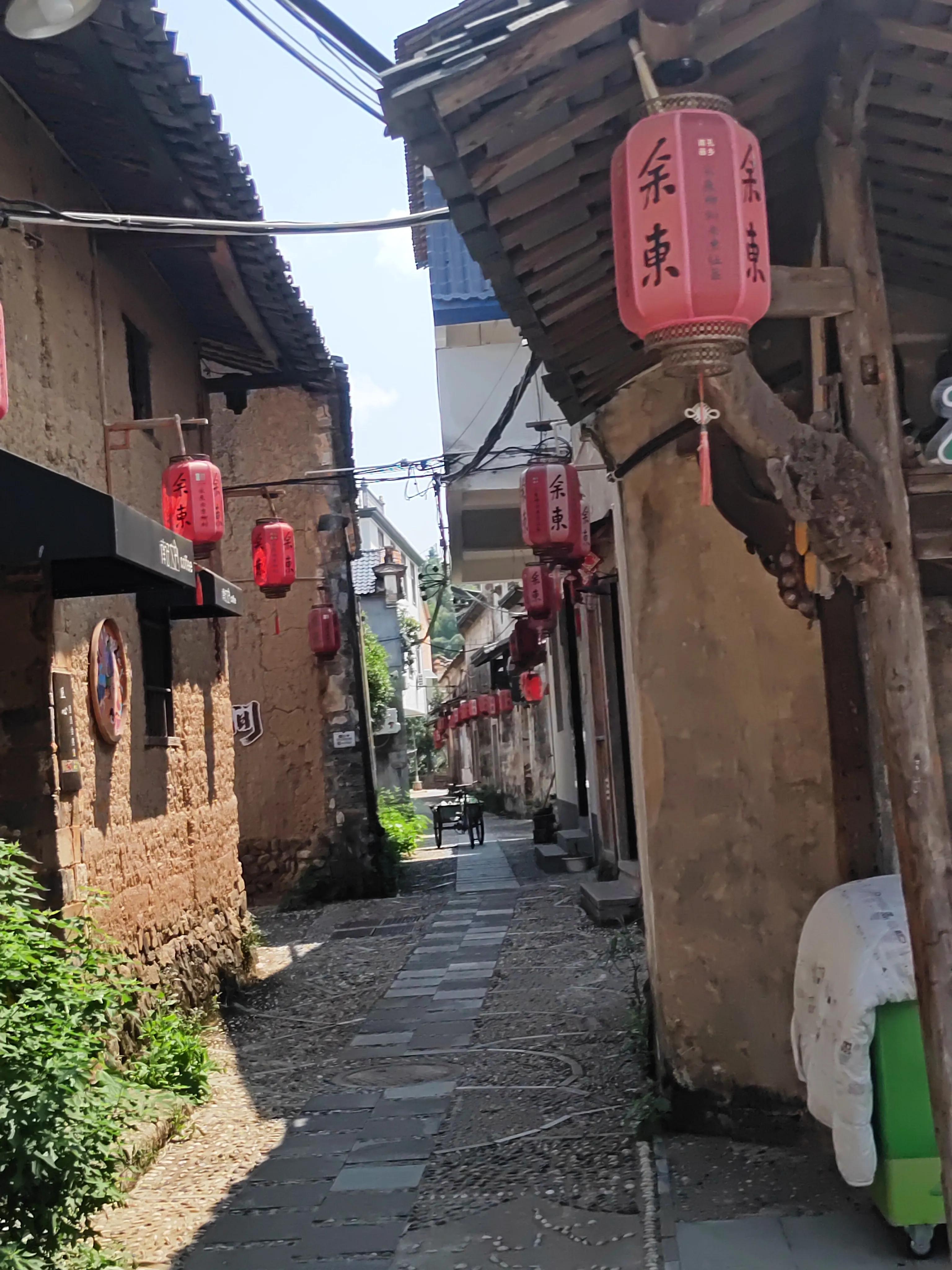 衢州画家余东村,余东村农民画