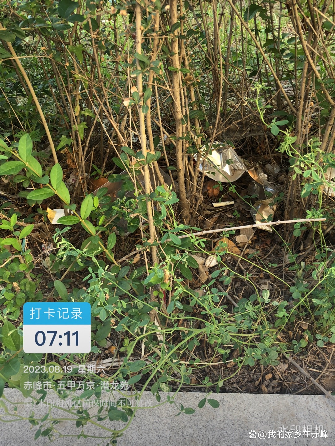赤峰五甲万京现状,赤峰五甲万京咋样了