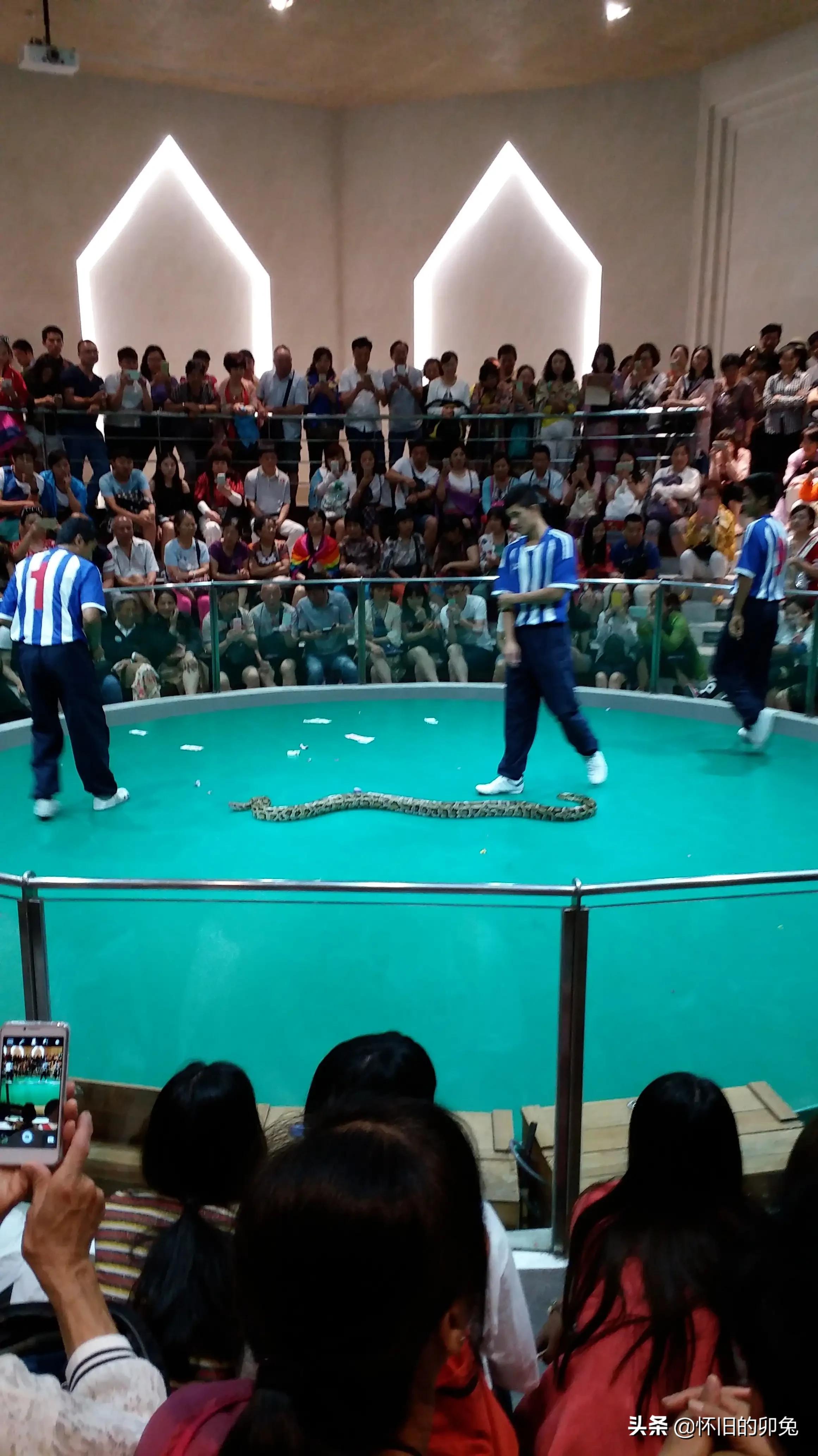 首次入境泰国,第一次出国泰国流程