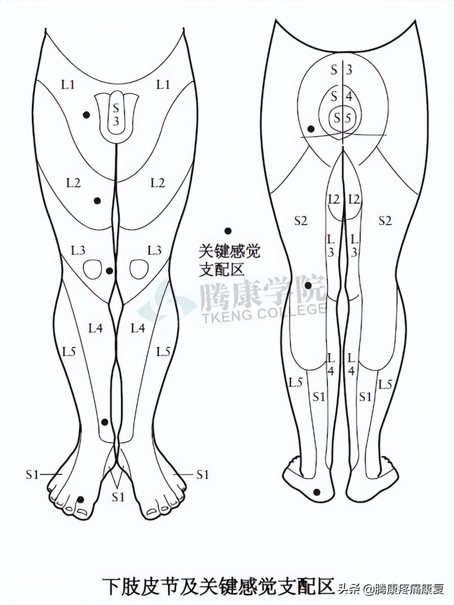 腰骶丛神经检查痛苦吗,腰骶椎不舒服怎样检查
