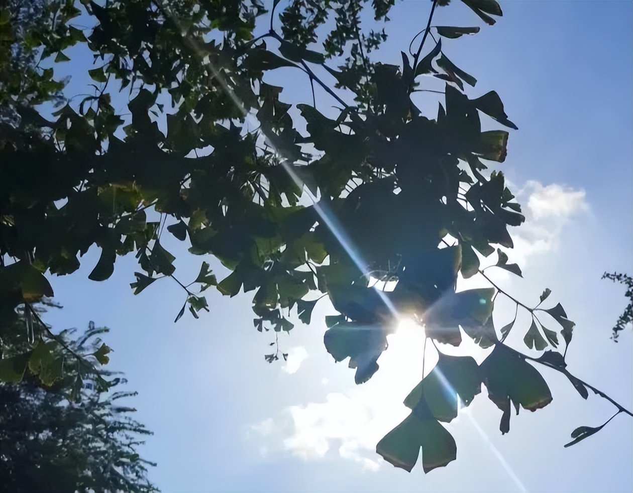 悄悄告诉你，来交大希望学院不能错过这站！