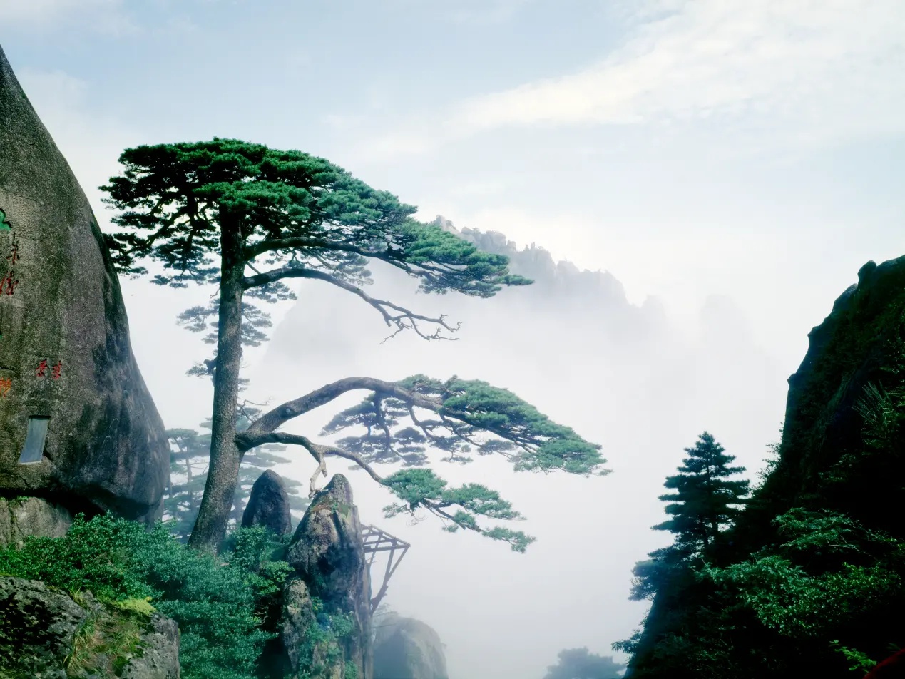 desire的意义,desire的重点词汇