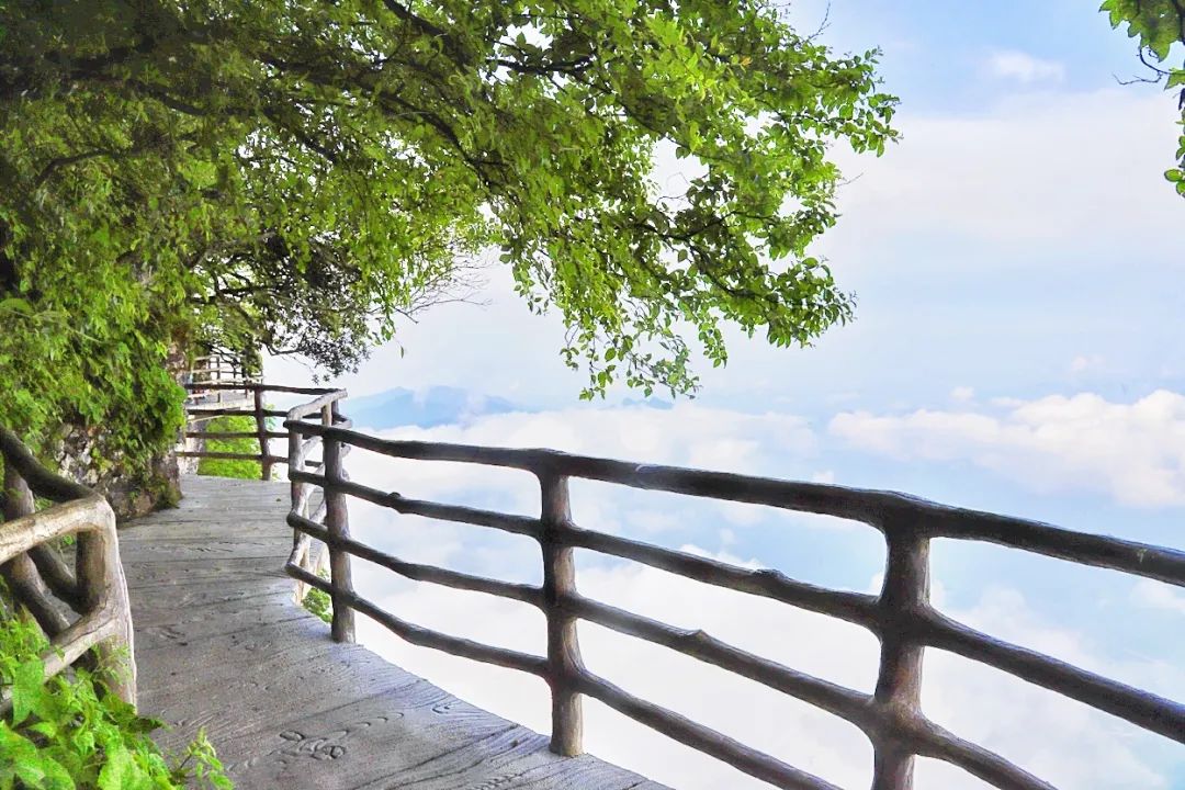 机票价格大跳水错峰出游正当时,错峰出游正当时旅游市场淡季不淡