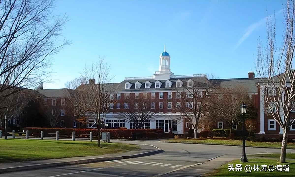 大学生职业生涯规划书模板范文ppt,500字的电商大学生职业生涯规划书