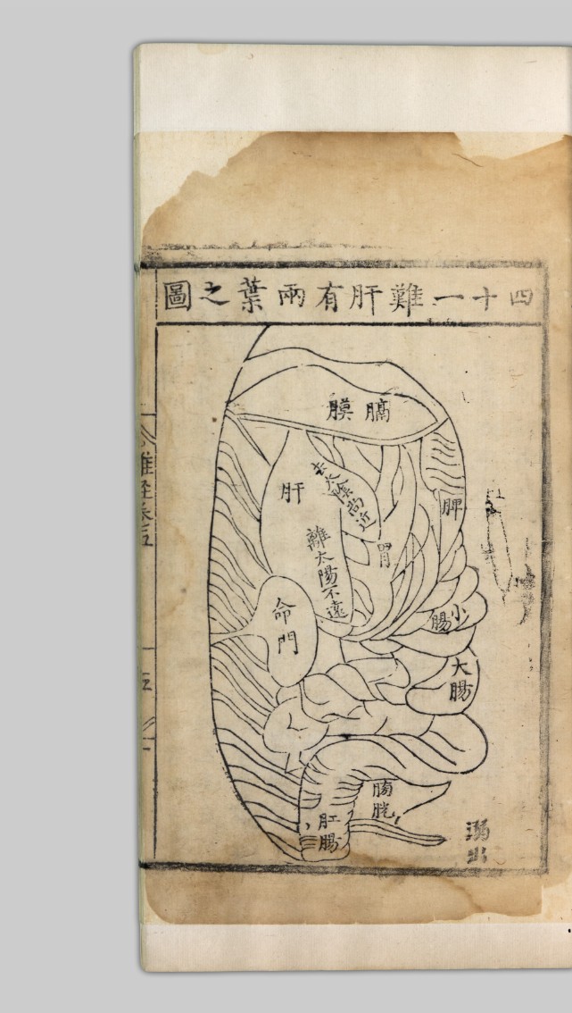 肛汉字笔画,汉字读音查询