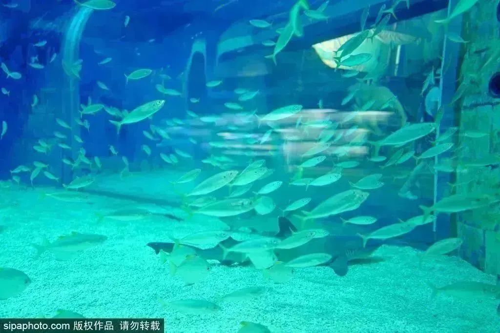 北京周末旅游去哪儿,北京周末旅行推荐