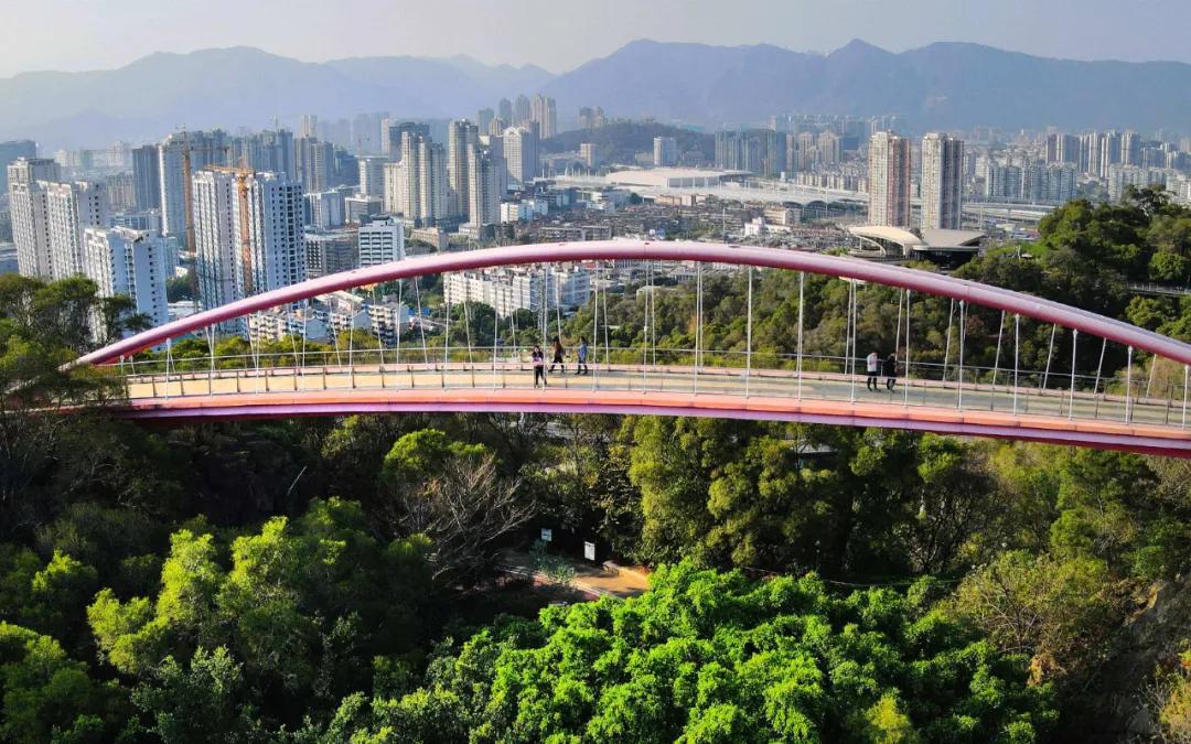 同一小区商品房和回迁房质量区别,同一楼盘新房和二手房