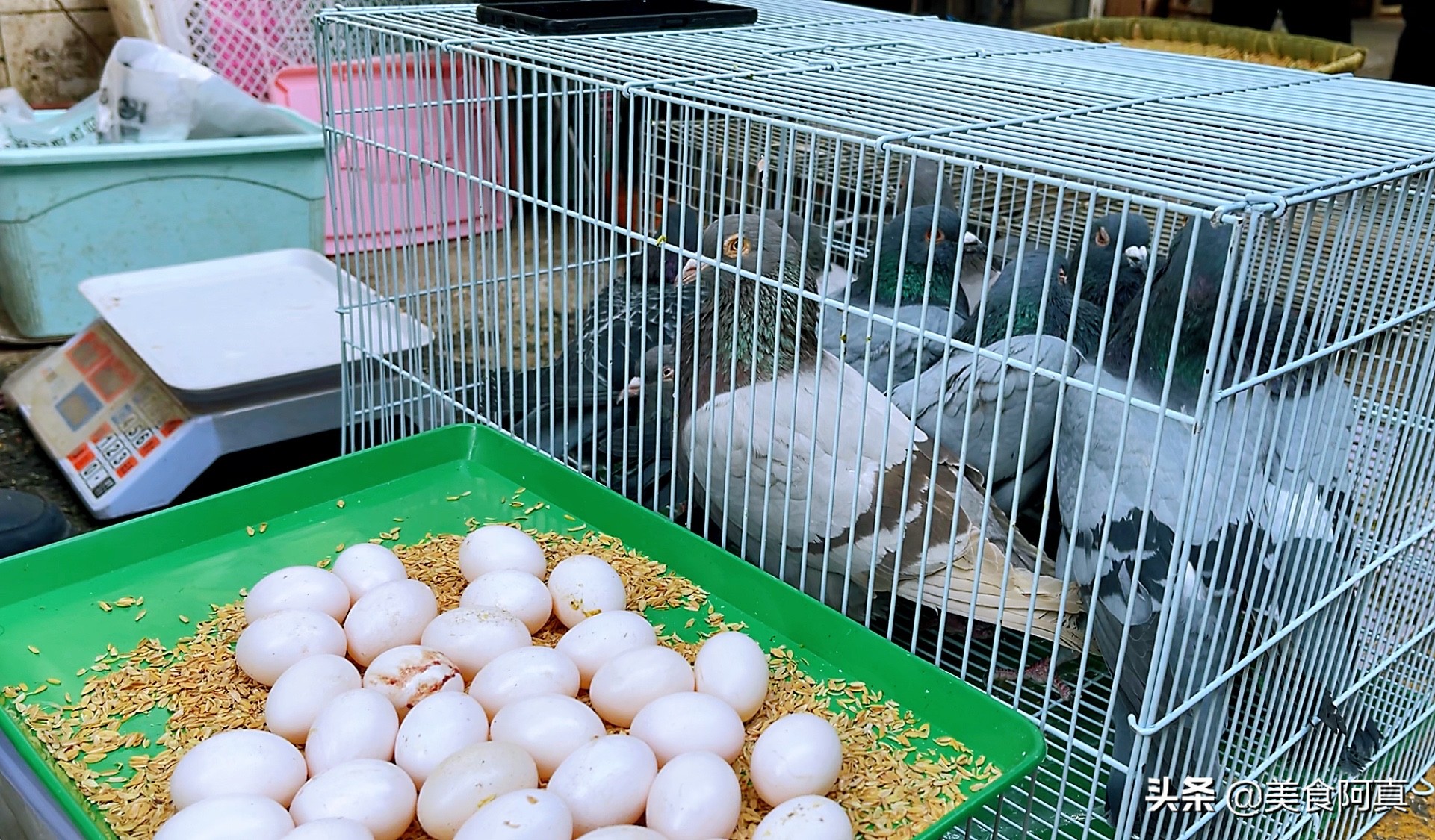 重庆狗儿市场有什么吃的,重庆主城狗市在哪里