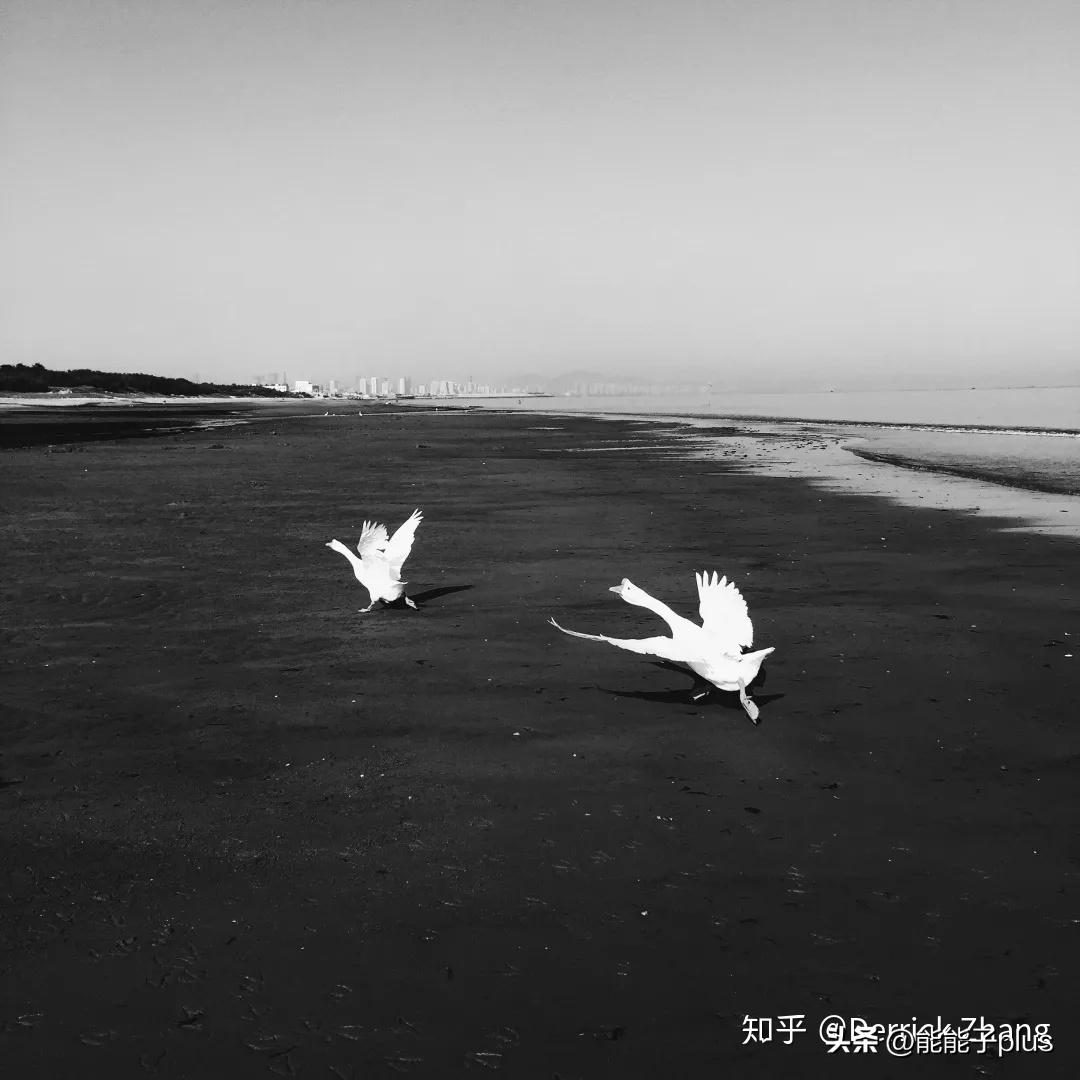 iphone12相机美颜怎么开,iphonex相机最佳设置