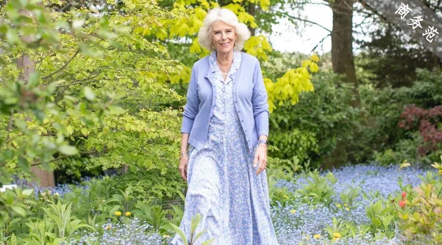 卡米拉气质逆袭不输戴安娜,卡米拉微笑回应凯特