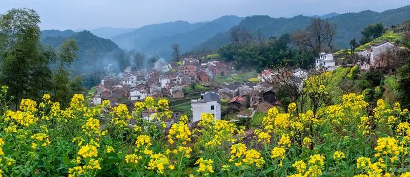 2020梦幻之秋婺源三天摄影创作团,醉美婺源摄影地点推荐