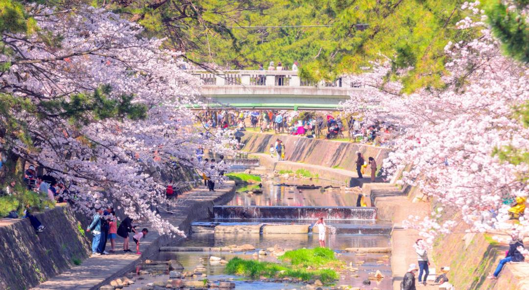 日本城市为什么那么干净,日本东京公园现状