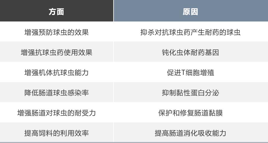如何防治球虫不再复发,防治球虫药