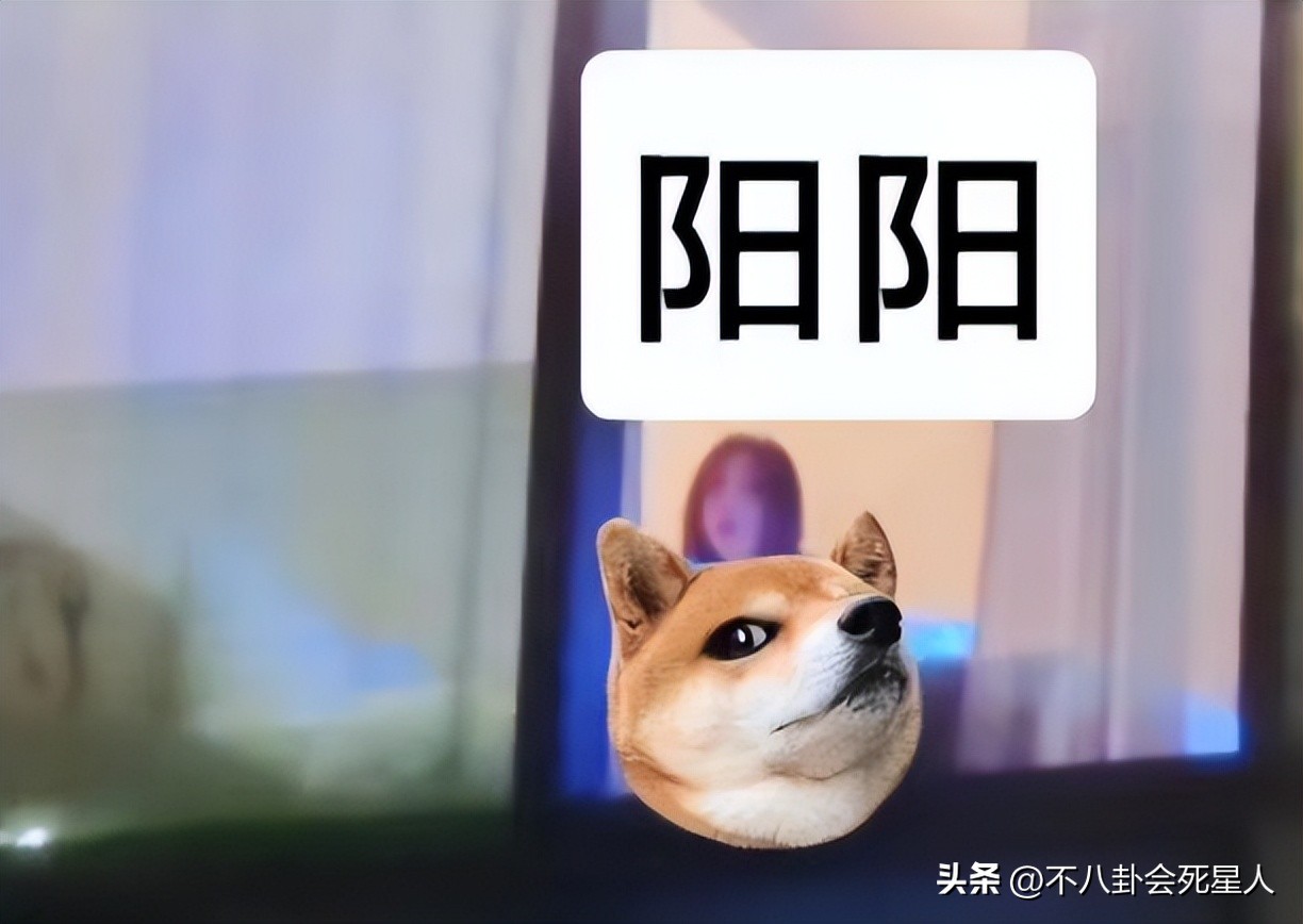 娱乐圈一天五个瓜,内娱爆料最新恋情