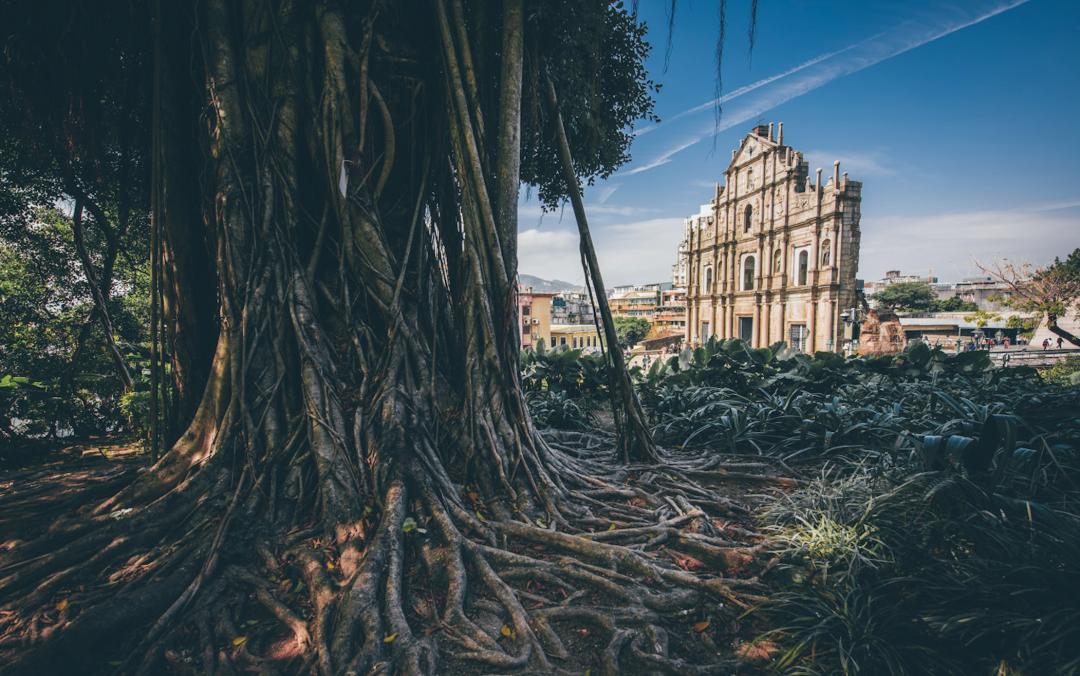 澳门怎么订酒店最划算,澳门怎么订到便宜的酒店