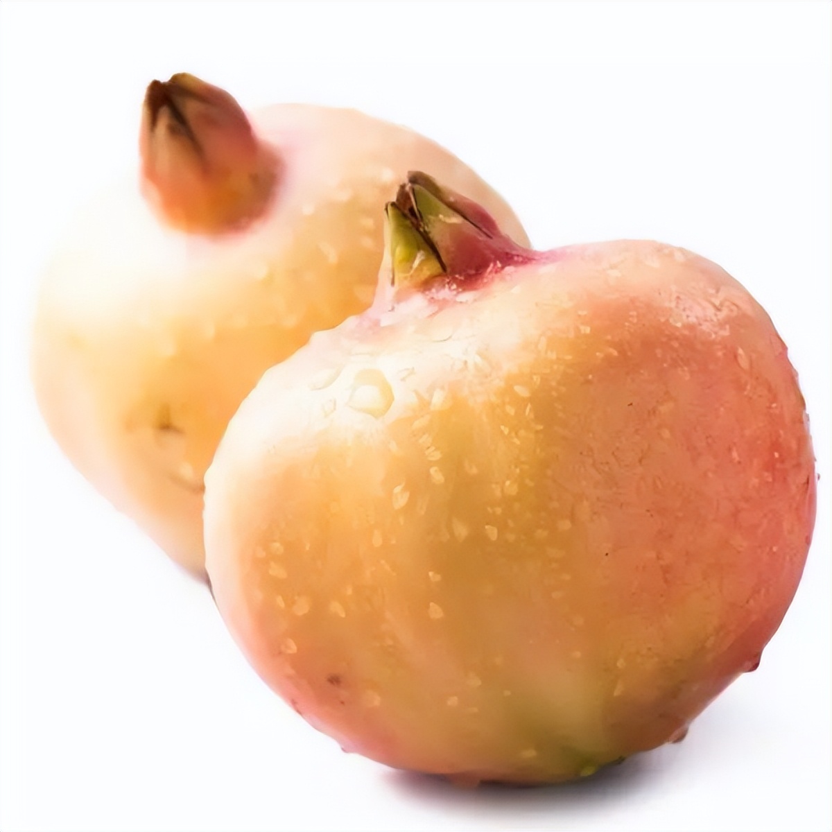 石榴苗怎么挑选,石榴会四季开花吗