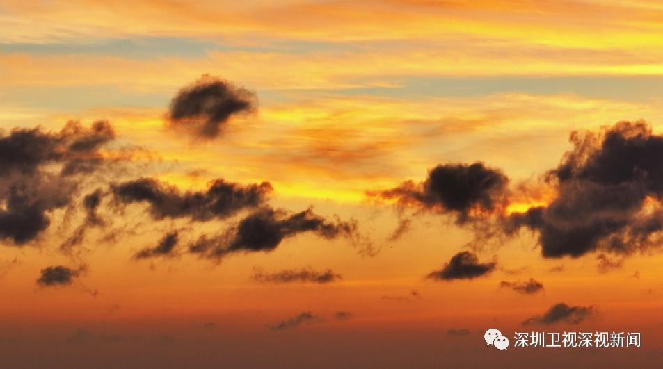 @深圳人，夏日晚霞图鉴请签收！