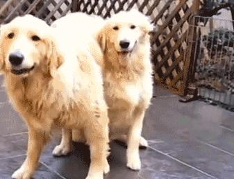 杭州最美老板娘视频,最美老板娘网友连夜赶往现场