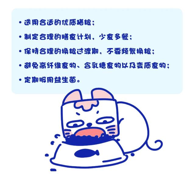 猫胀气放屁原因有哪些,猫咪肚子胀气一直放屁