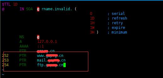 linux环境用什么编译器,linux配置dns地址