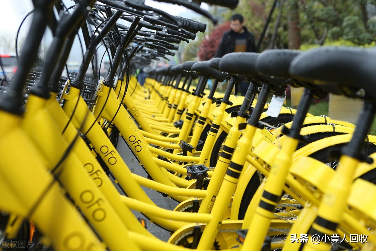 废品回收行业的市场前景,废品回收为什么难以规模化