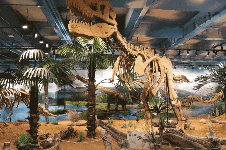 广州番禺适合遛娃吃喝玩乐的地方,周末遛娃好去处广州番禺