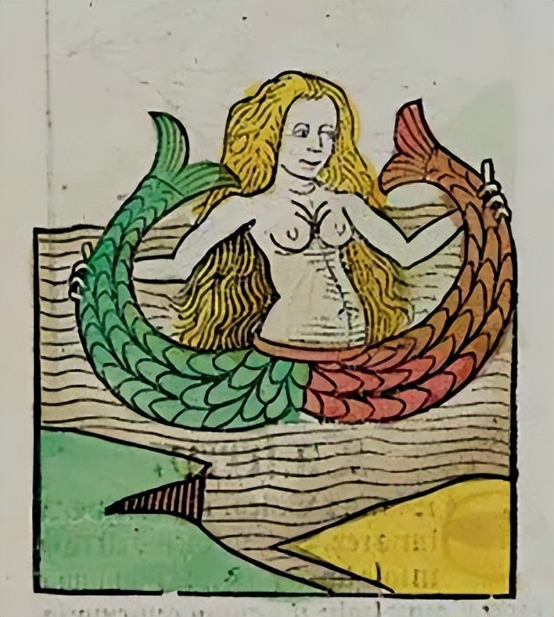 人鱼是怎样变成美人鱼的,丑人鱼变美长什么样子