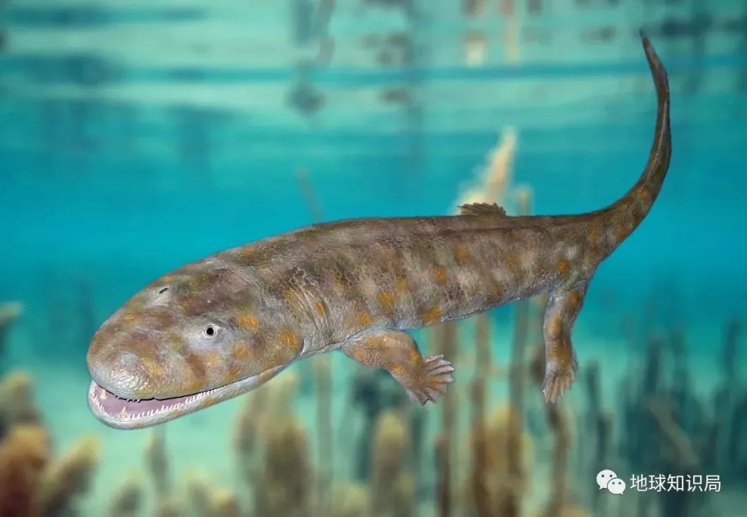 他们，做了一个违背祖宗的决定！|地球知识局