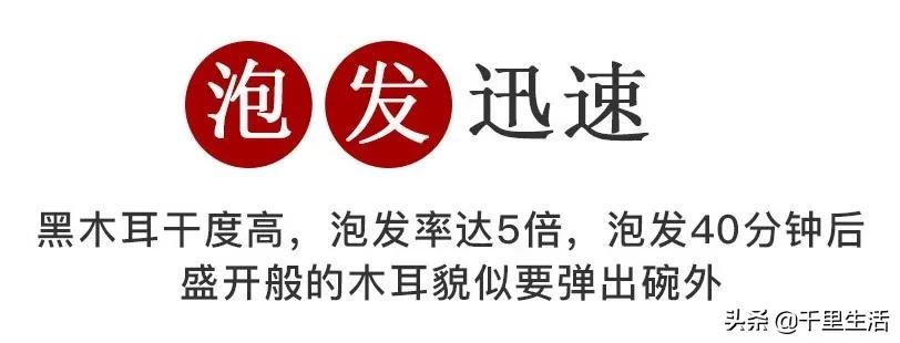 “素中之荤、素珍之王”，东北黑木耳，隔三差五吃一顿，脆嫩好吃