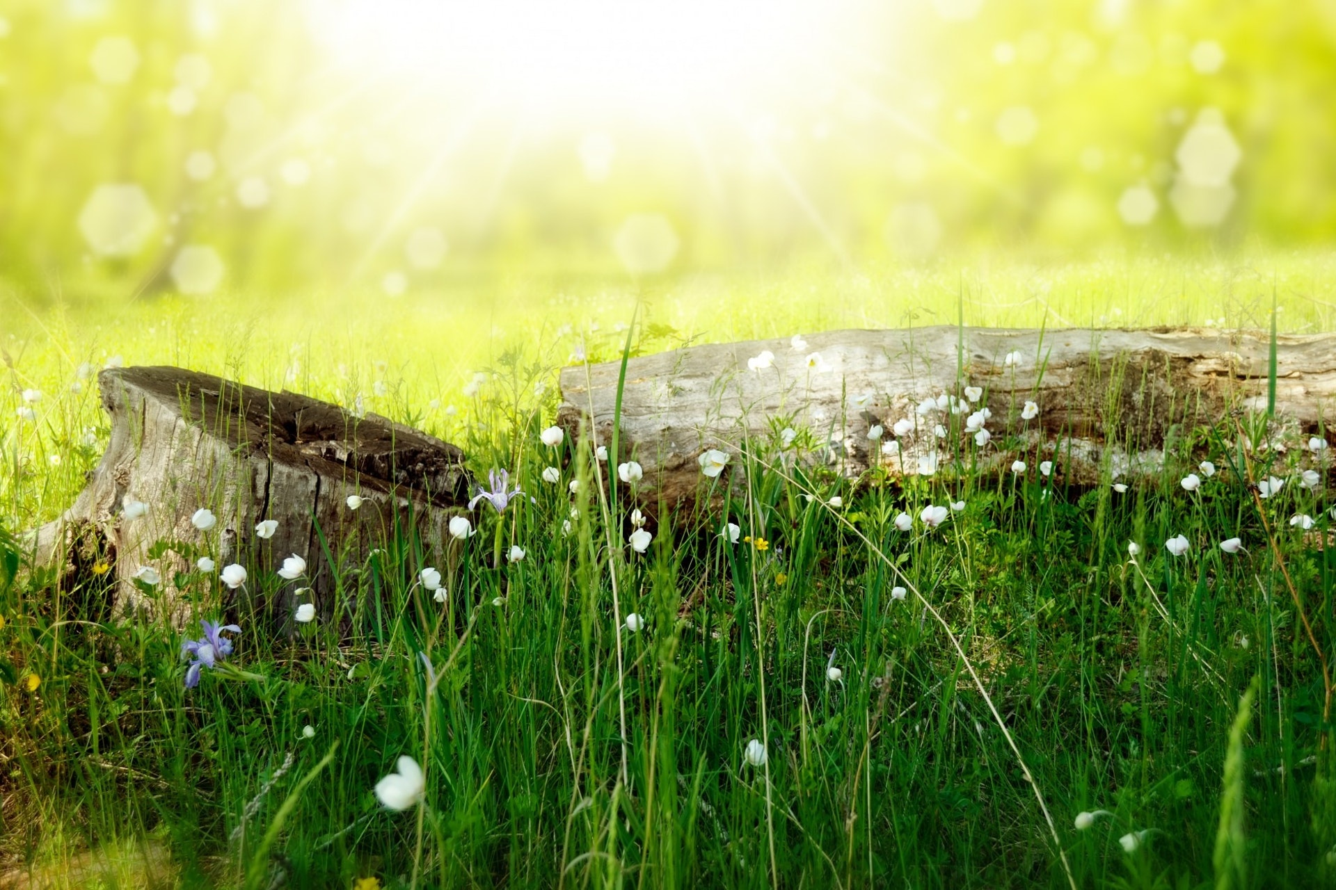 放不下一个人怎么办狠点,心里如果放不下一个人怎么办