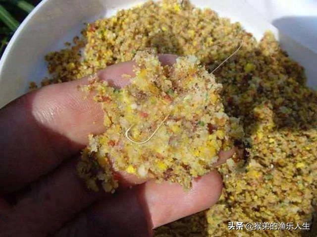 丸九饵料为什么不能揉打,丸九饵料为什么没有腥味